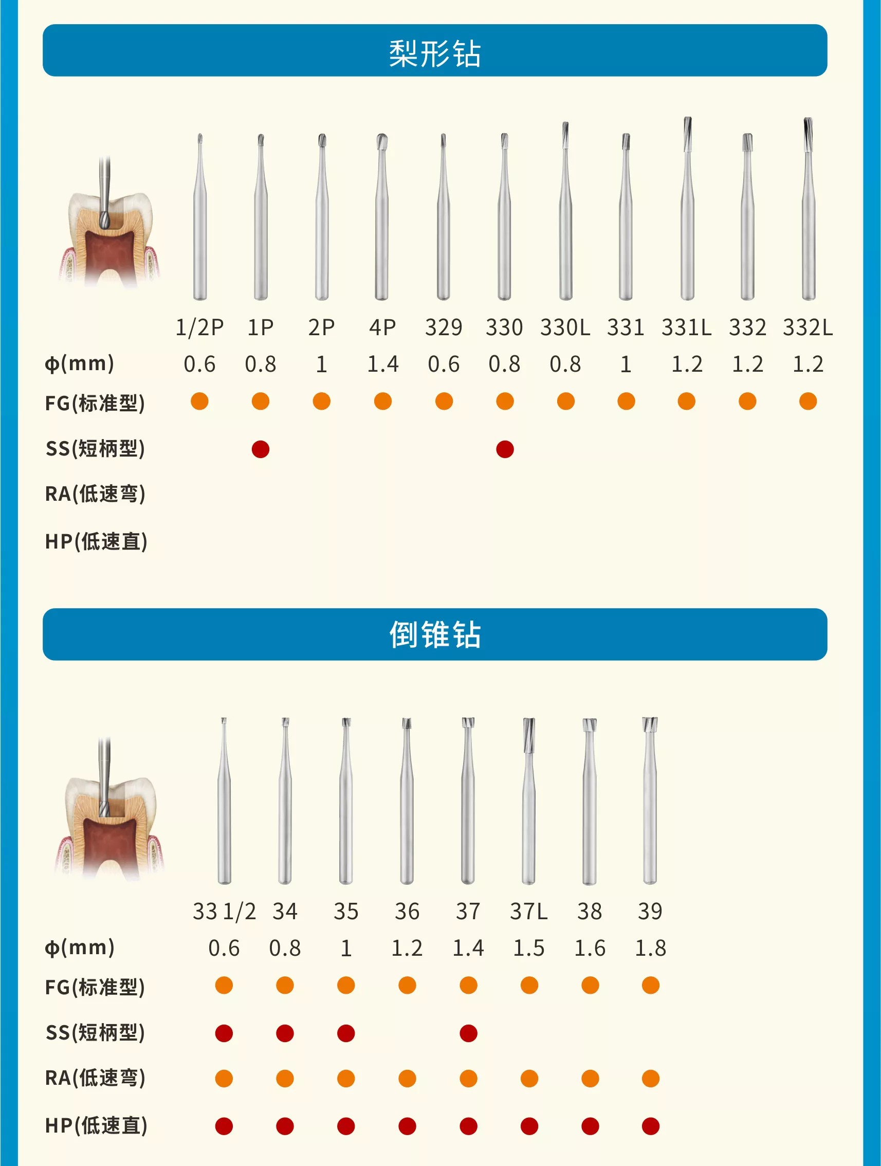 口腔科备牙车针型号图图片